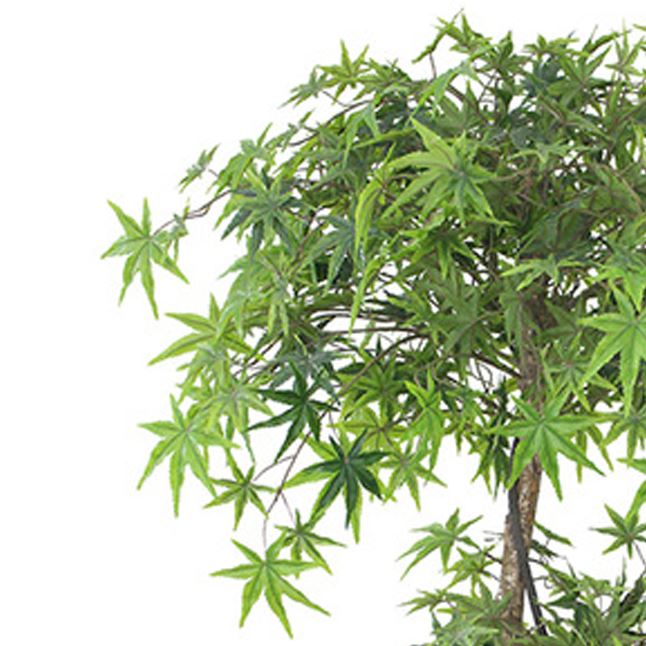 Artificial Trees 150cm Japanese Acer Trunk-3