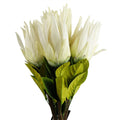 Pack of 6 x 65cm Protea Sugarbush Flower Stem - White-0