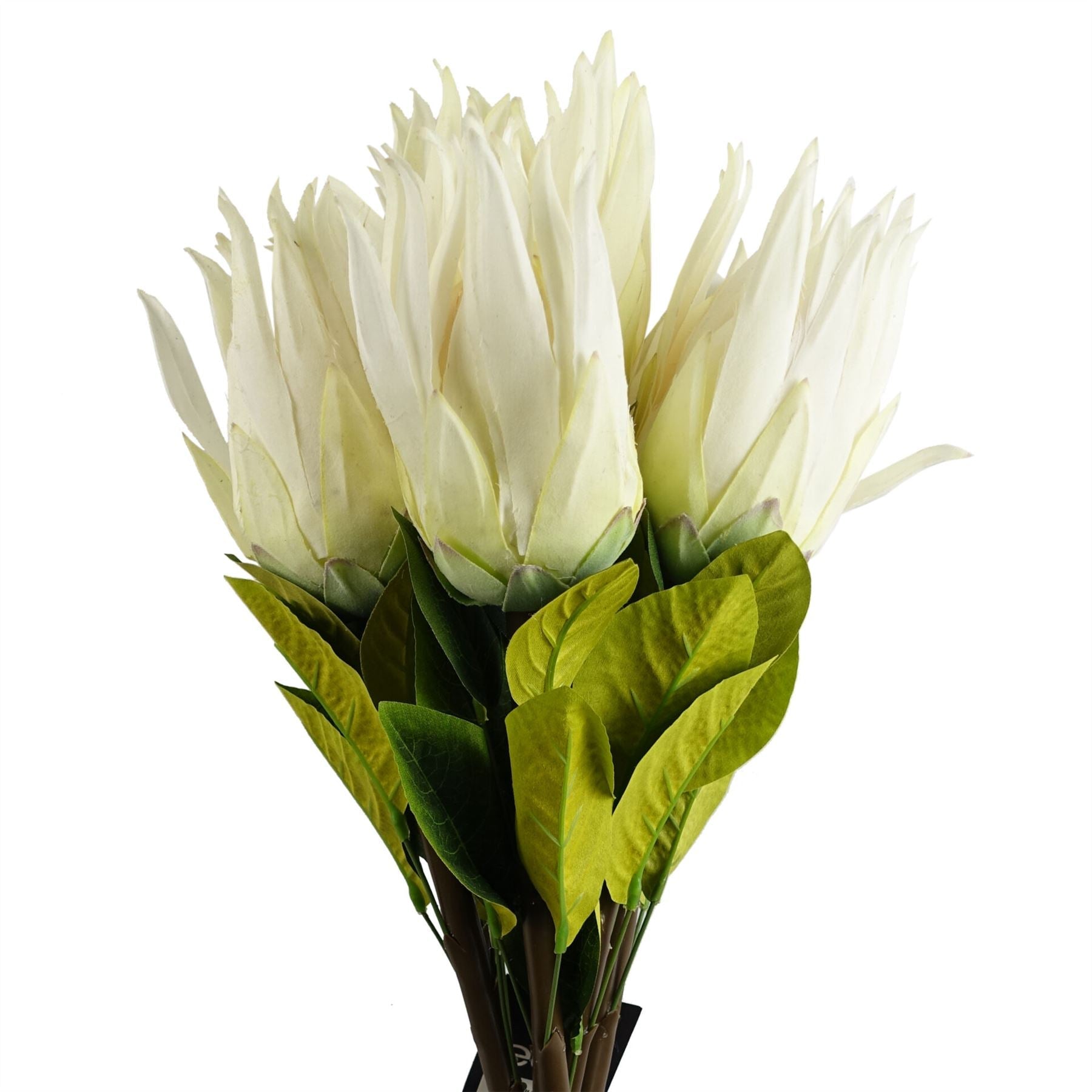 Pack of 6 x 65cm Protea Sugarbush Flower Stem - White-0