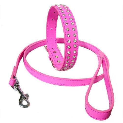 2-Row Collar Lead Set - Hot Pink
