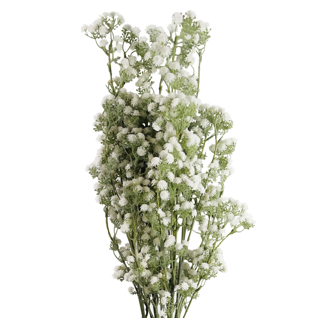 Pack of 6 x 85cm Gypsophila White Stem-0