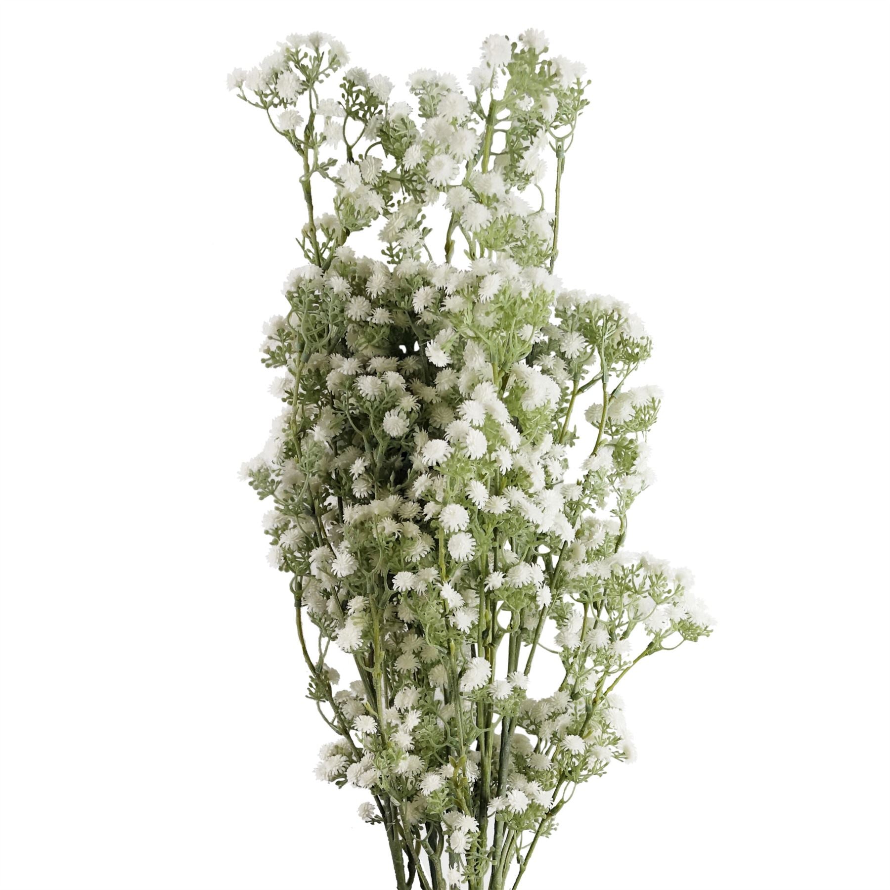 Pack of 6 x 85cm Gypsophila White Stem-0