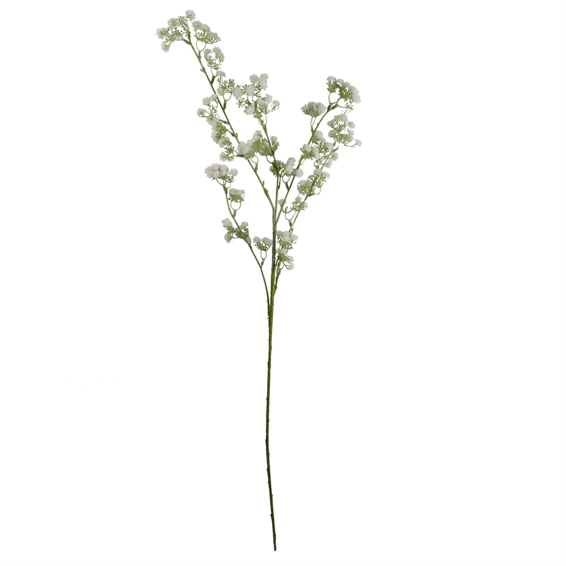 Pack of 6 x 85cm Gypsophila White Stem-2