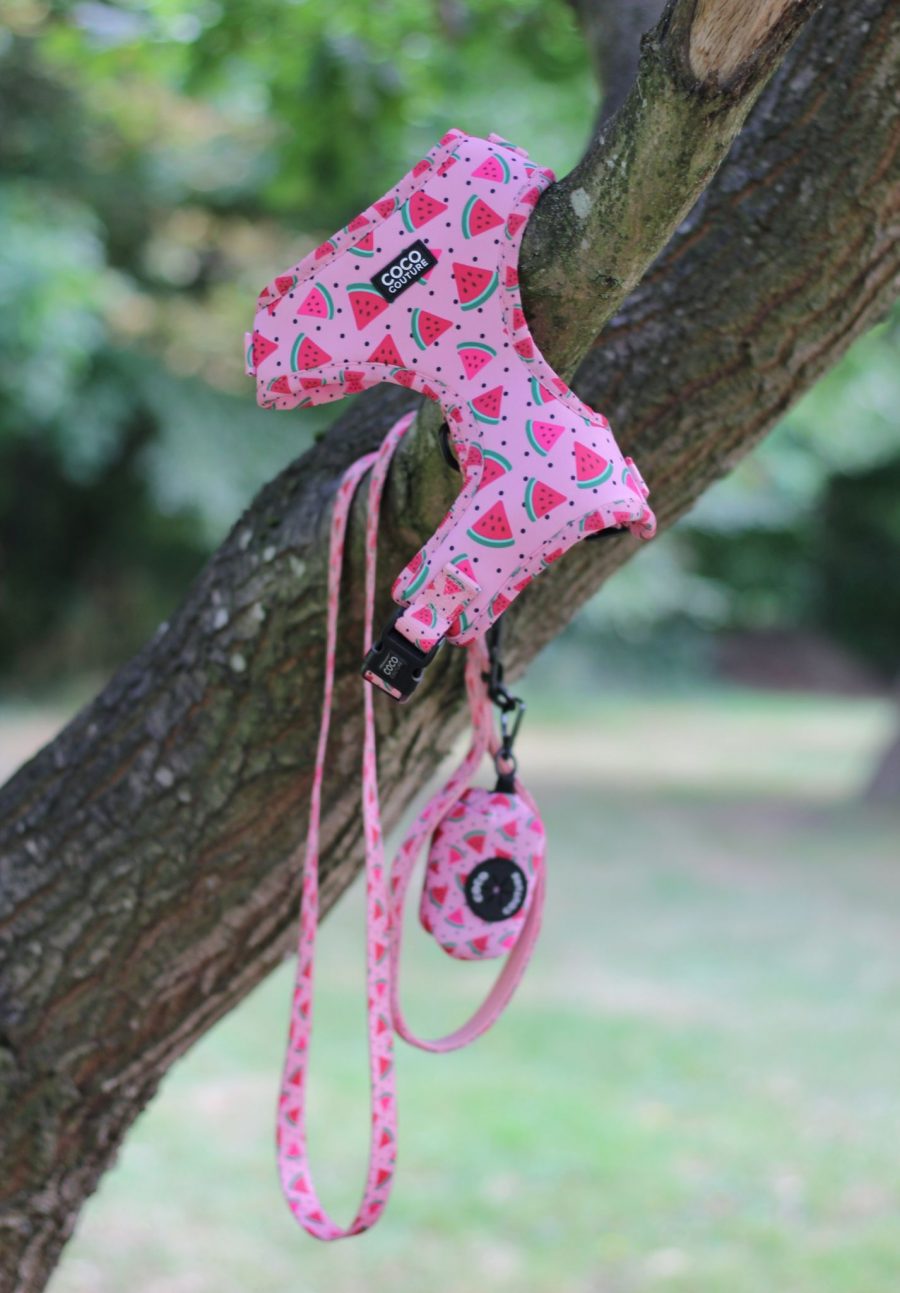 One in a Melon Adjustable Dog Harness – by Coco Couture