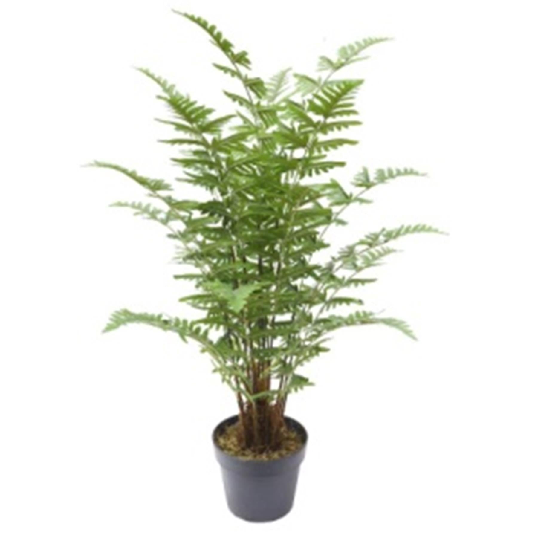 75cm Artificial Fern Plant-0
