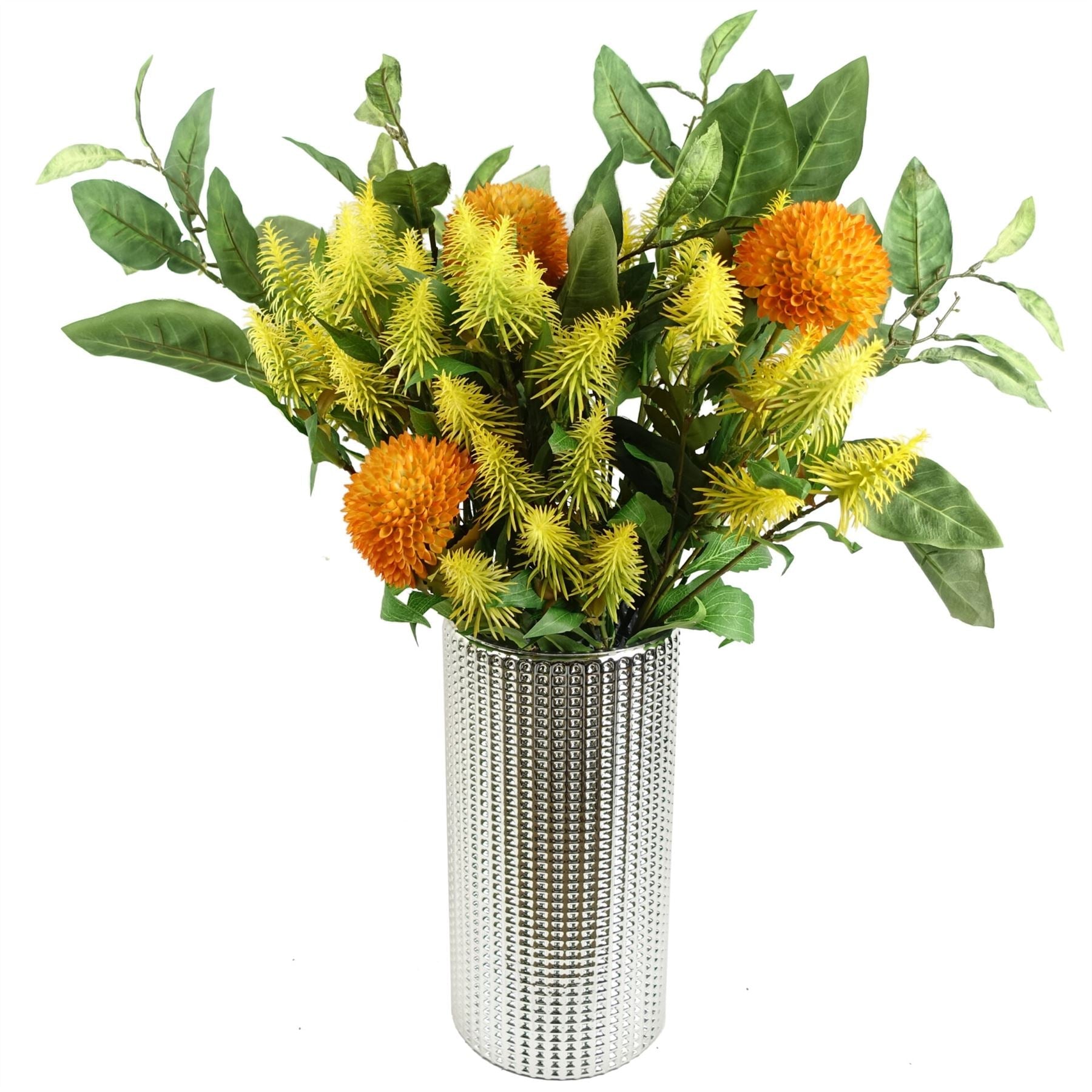 Pack of 6 x 55cm Callistemon Pallidus Yellow Bottle Brush Stem-1
