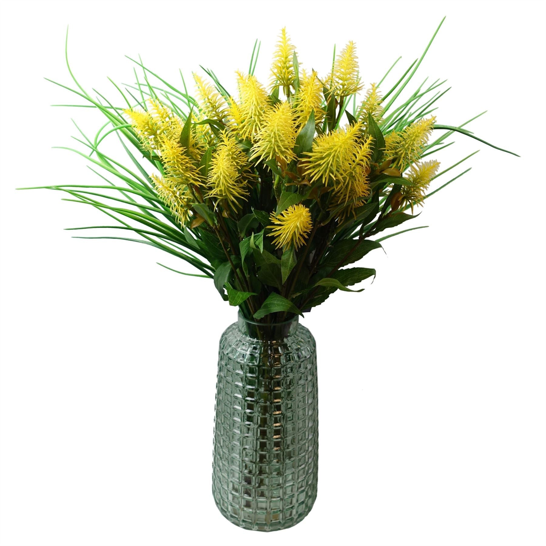 Pack of 6 x 55cm Callistemon Pallidus Yellow Bottle Brush Stem-4
