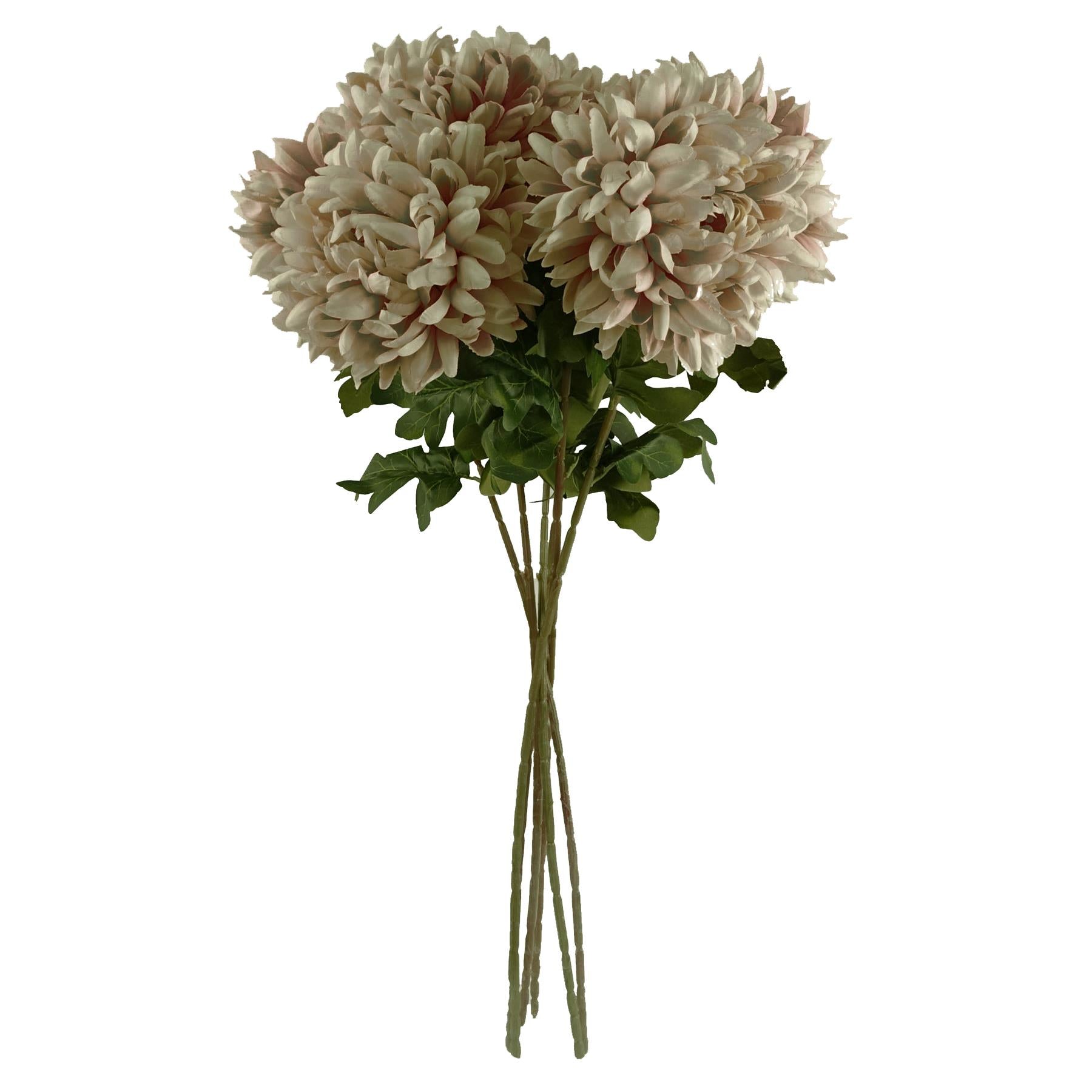 Pack of 6 x 75cm Extra Large Reflex Chrysanthemum - Mushroom-2