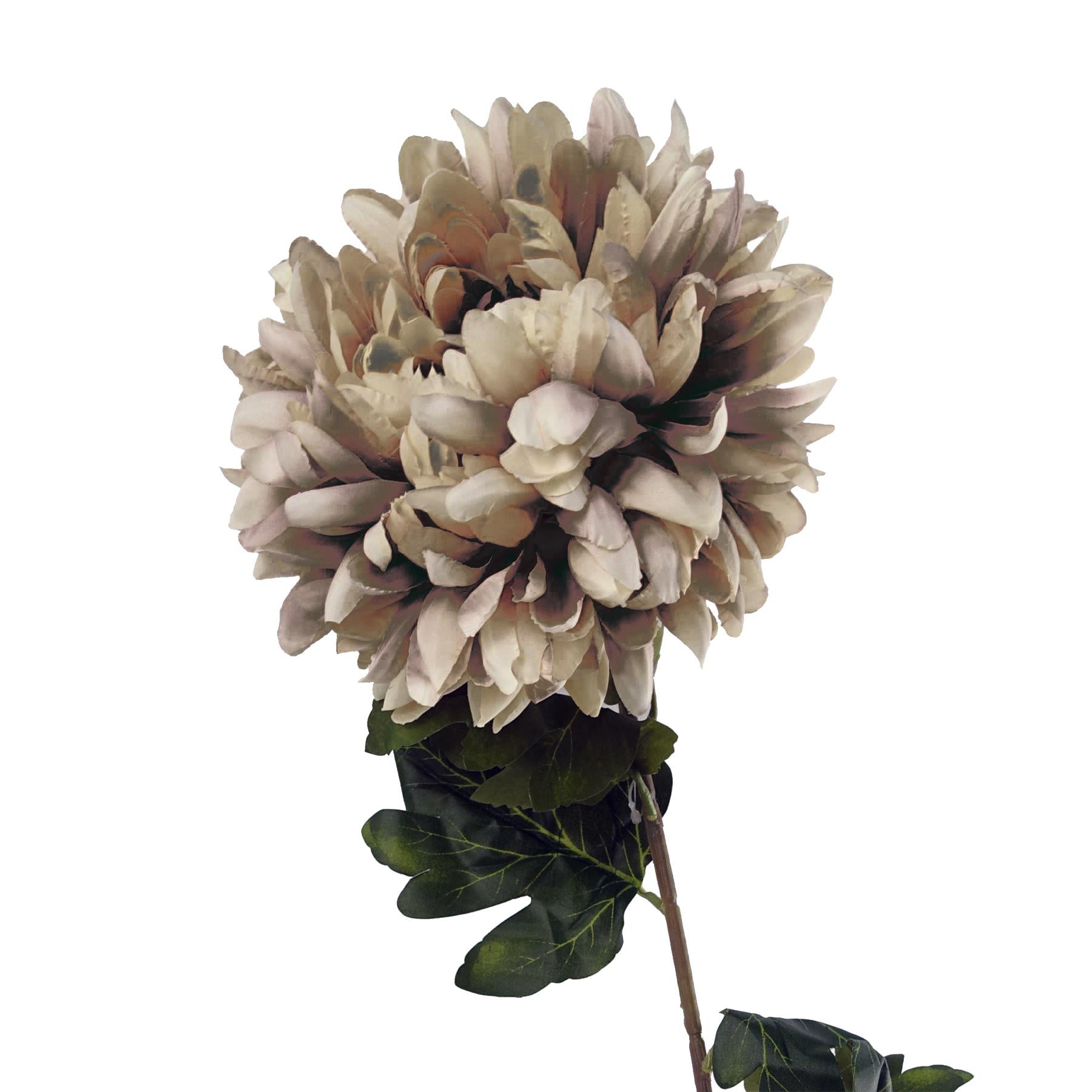 Pack of 6 x 75cm Extra Large Reflex Chrysanthemum - Mushroom-4