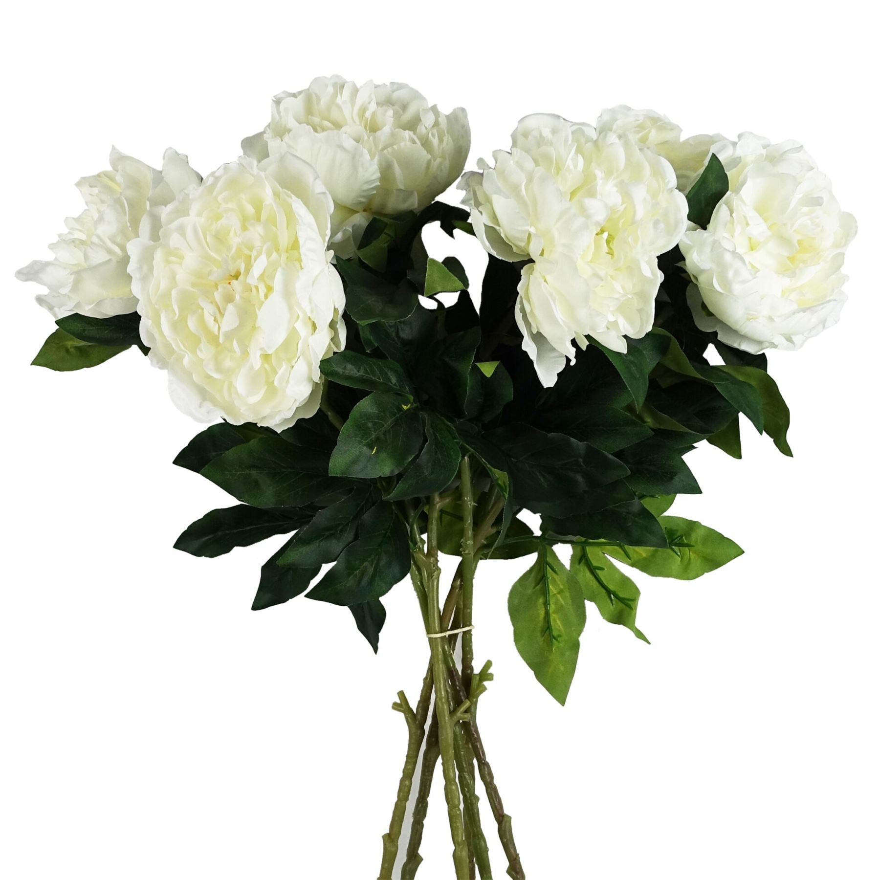 Pack of 6 x 80cm Artificial White Peony Stem-0