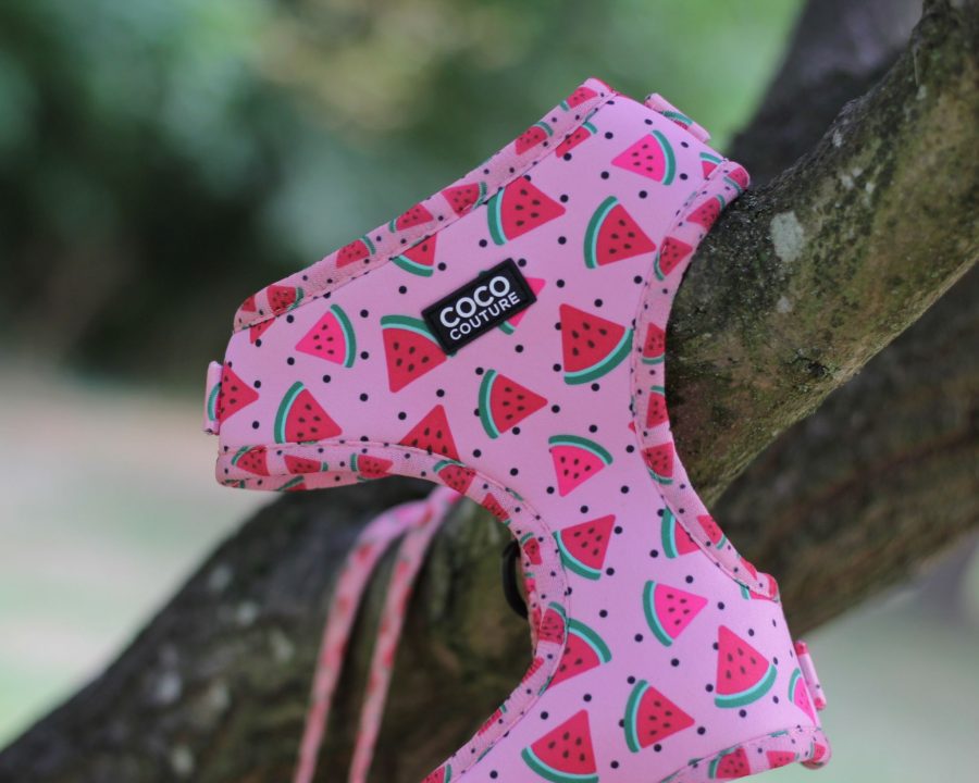 One in a Melon Adjustable Dog Harness – by Coco Couture