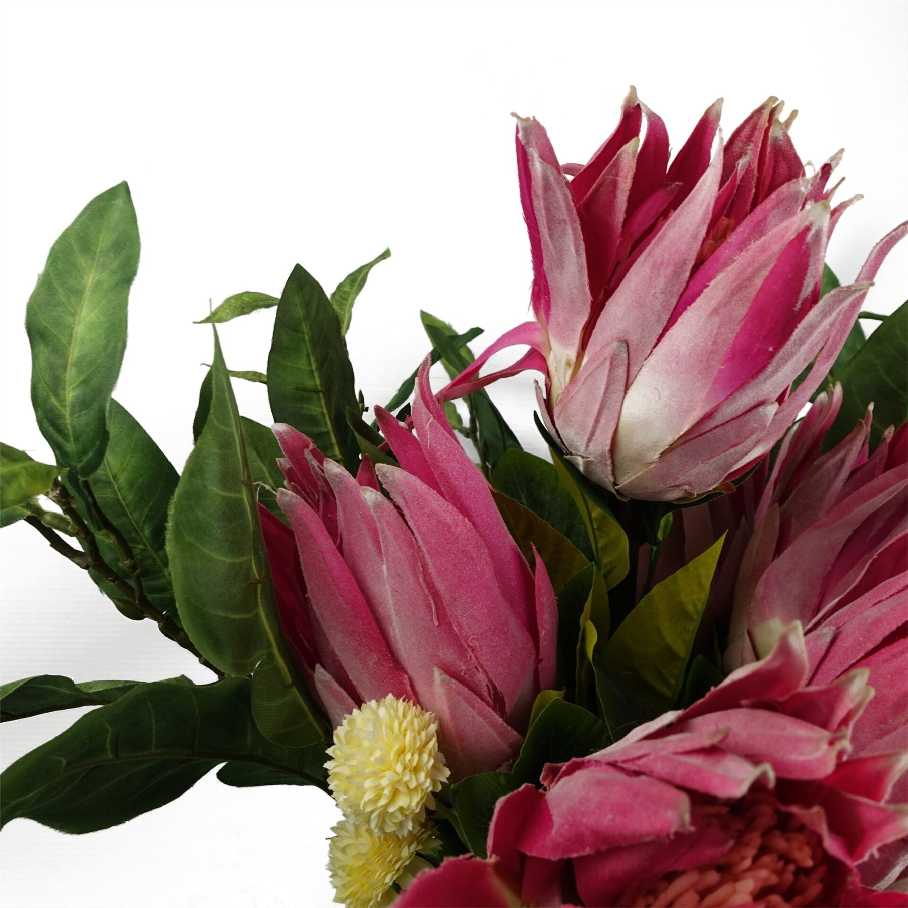 Pack of 6 x 65cm Protea Sugarbush Flower Stem - Pink-4