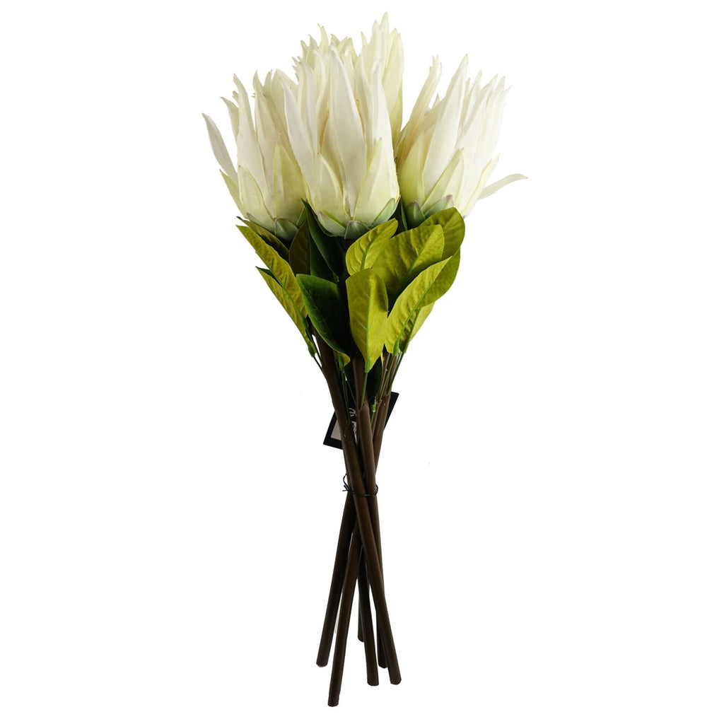 Pack of 6 x 65cm Protea Sugarbush Flower Stem - White-3