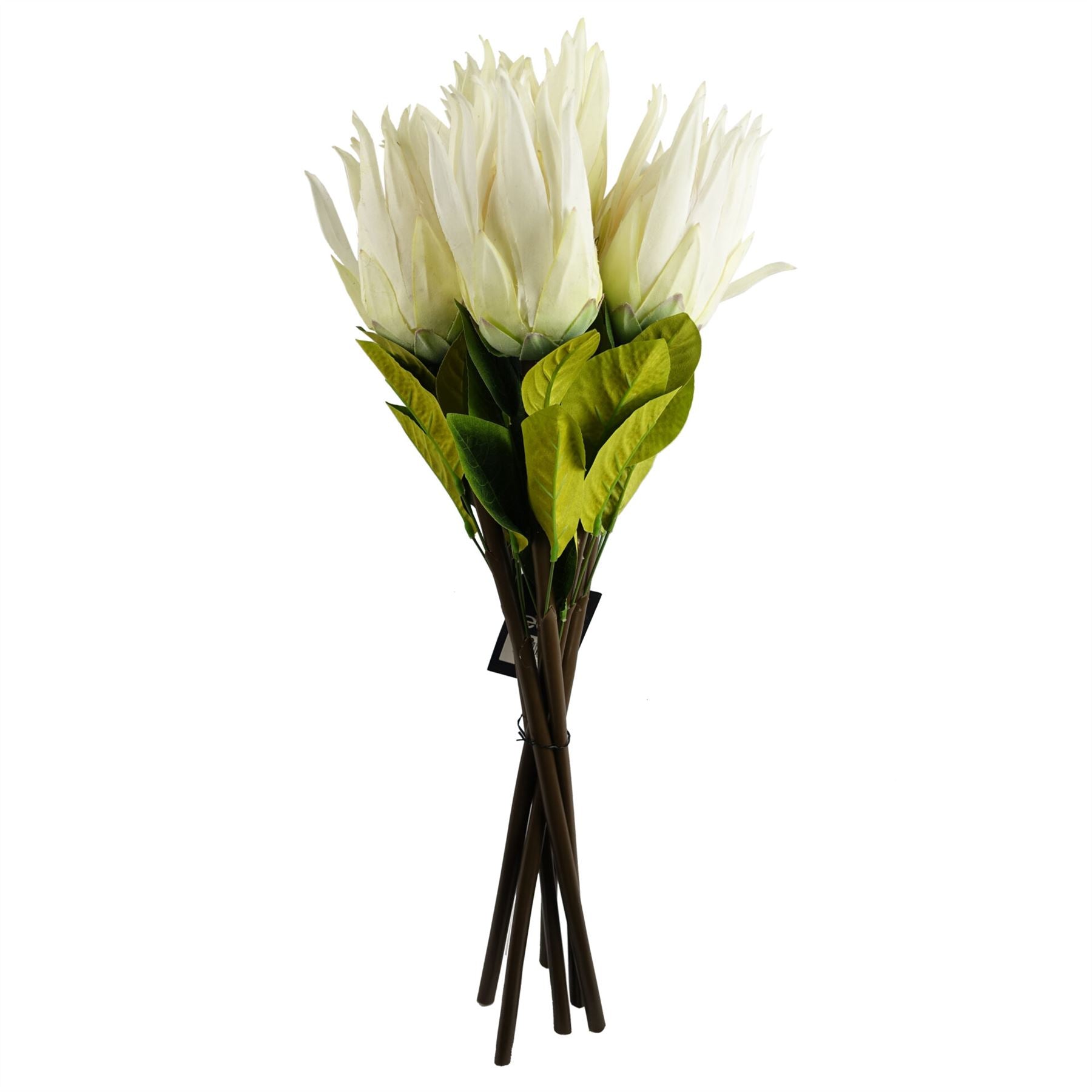 Pack of 6 x 65cm Protea Sugarbush Flower Stem - White-3