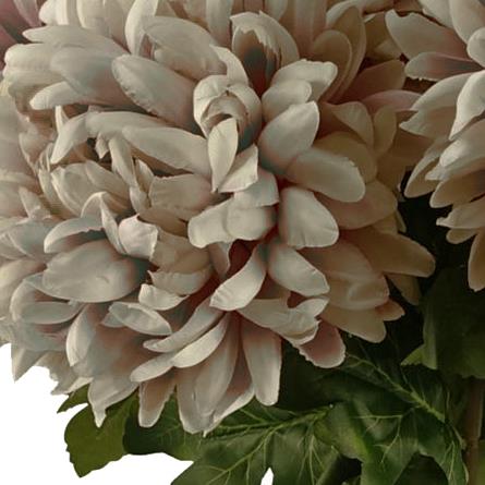 Pack of 6 x 75cm Extra Large Reflex Chrysanthemum - Mushroom-1