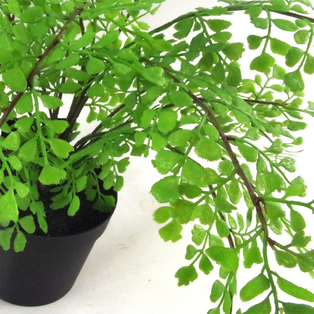 Artificial Fern Plant Pot Maidenhair Fern 35cm UK Plant-1