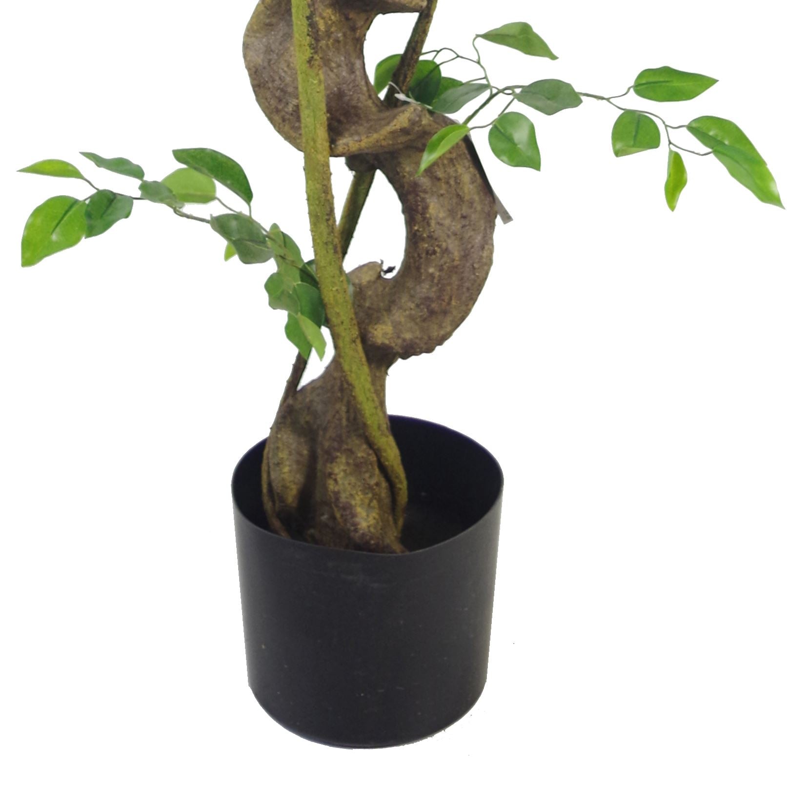 Large Artificial Japanese Fruticosa Ficus Tree Silver 120cm 4ft Realistic Botanik-3