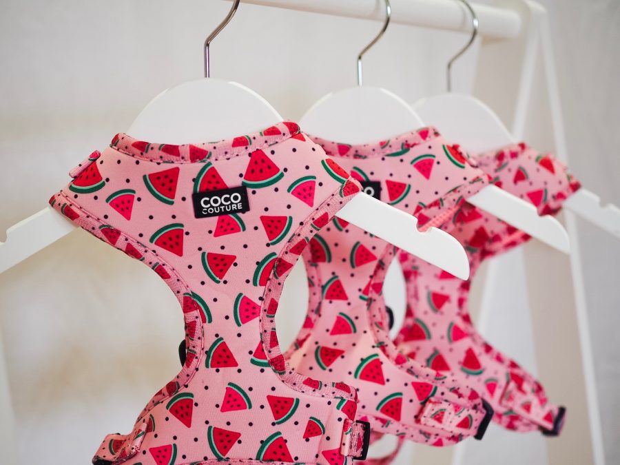 One in a Melon Adjustable Dog Harness – by Coco Couture