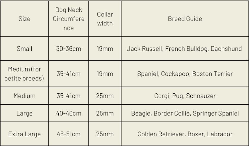 Classic Black Dog Collar (Vegan Apple Leather) – by Skylos Collective