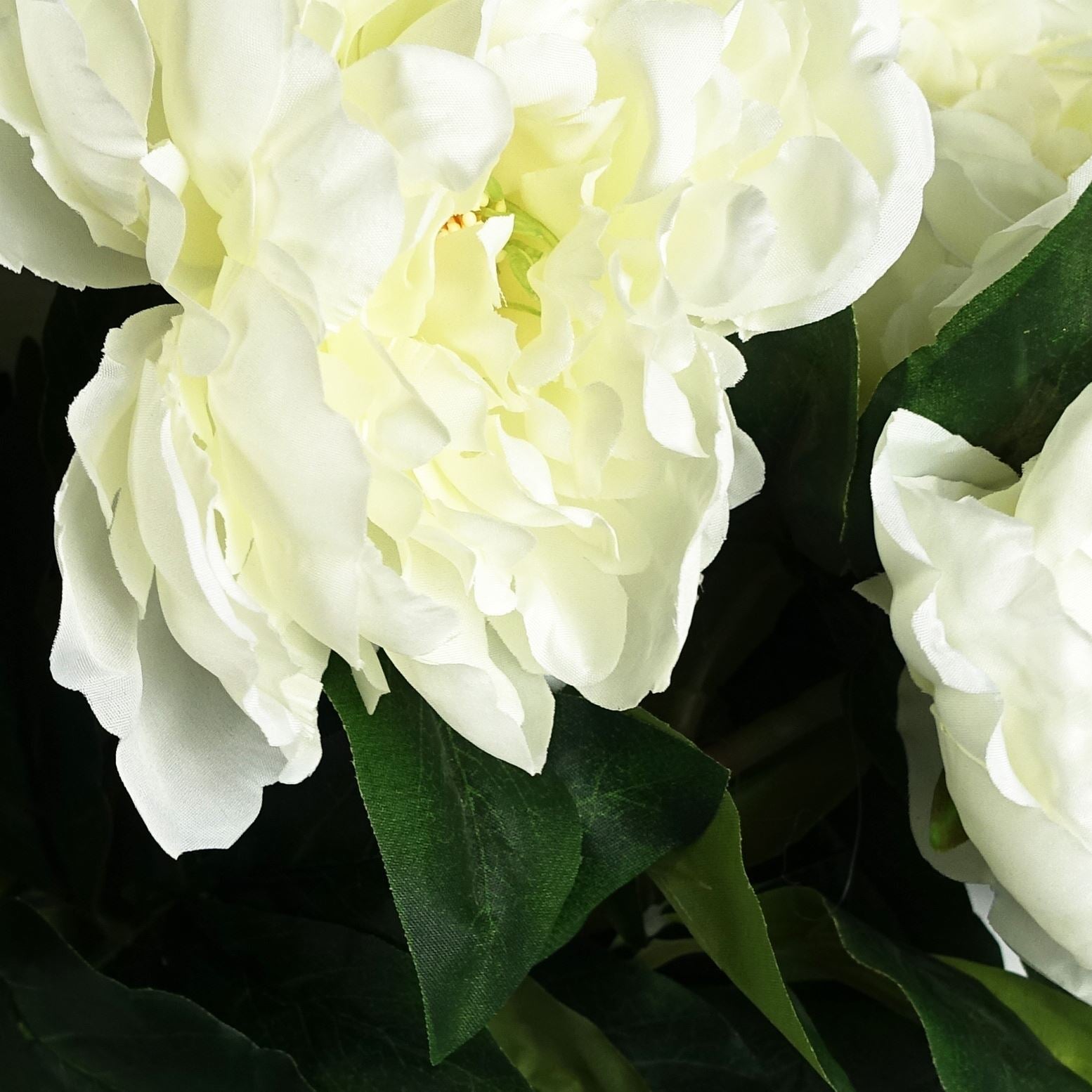 Pack of 6 x 80cm Artificial White Peony Stem-4