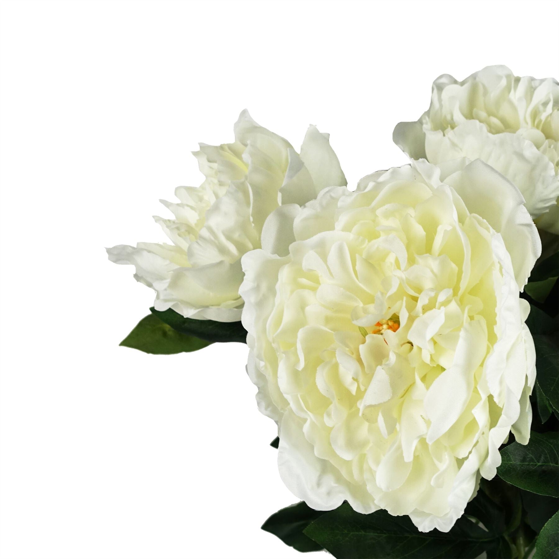 Pack of 6 x 80cm Artificial White Peony Stem-1