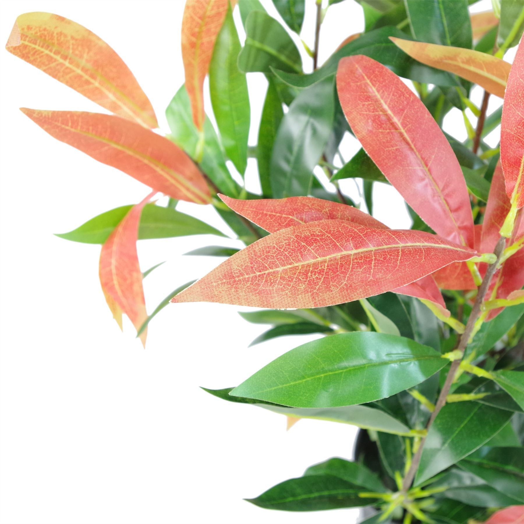 Artificial Ficus Tree Plant 80cm Red Green Mini Bush Colourful-2