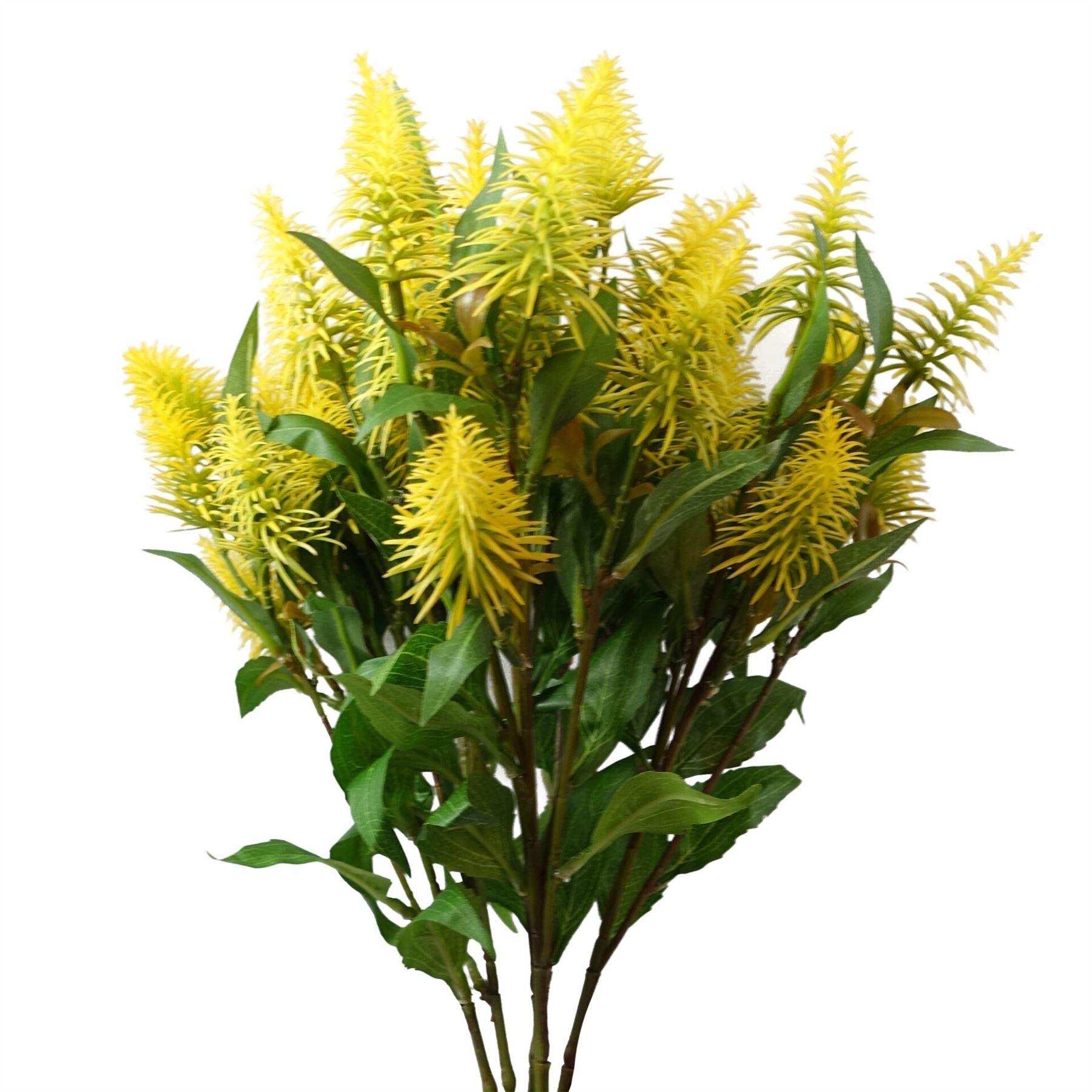 Pack of 6 x 55cm Callistemon Pallidus Yellow Bottle Brush Stem-0