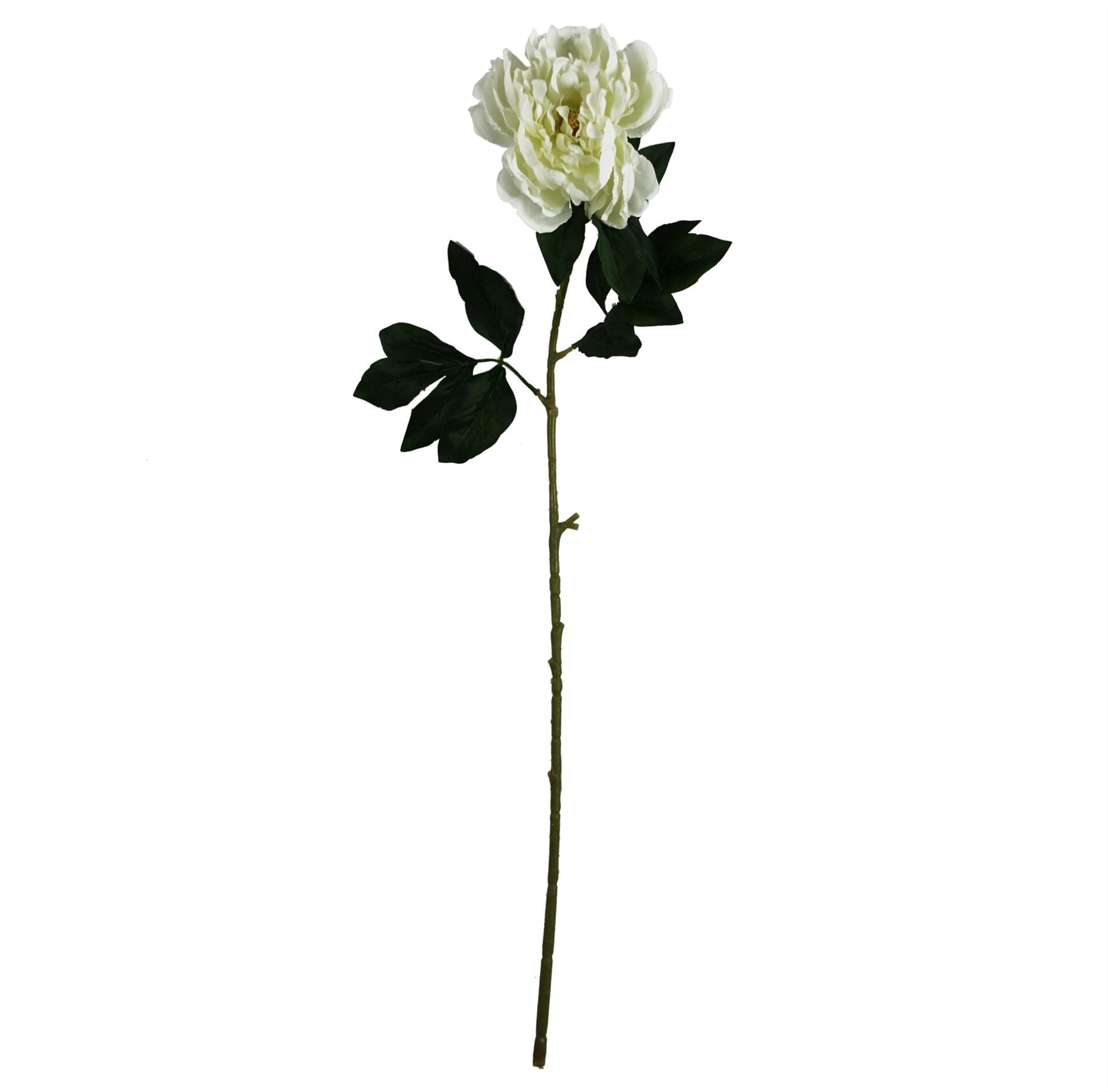 Pack of 6 x 80cm Artificial White Peony Stem-3