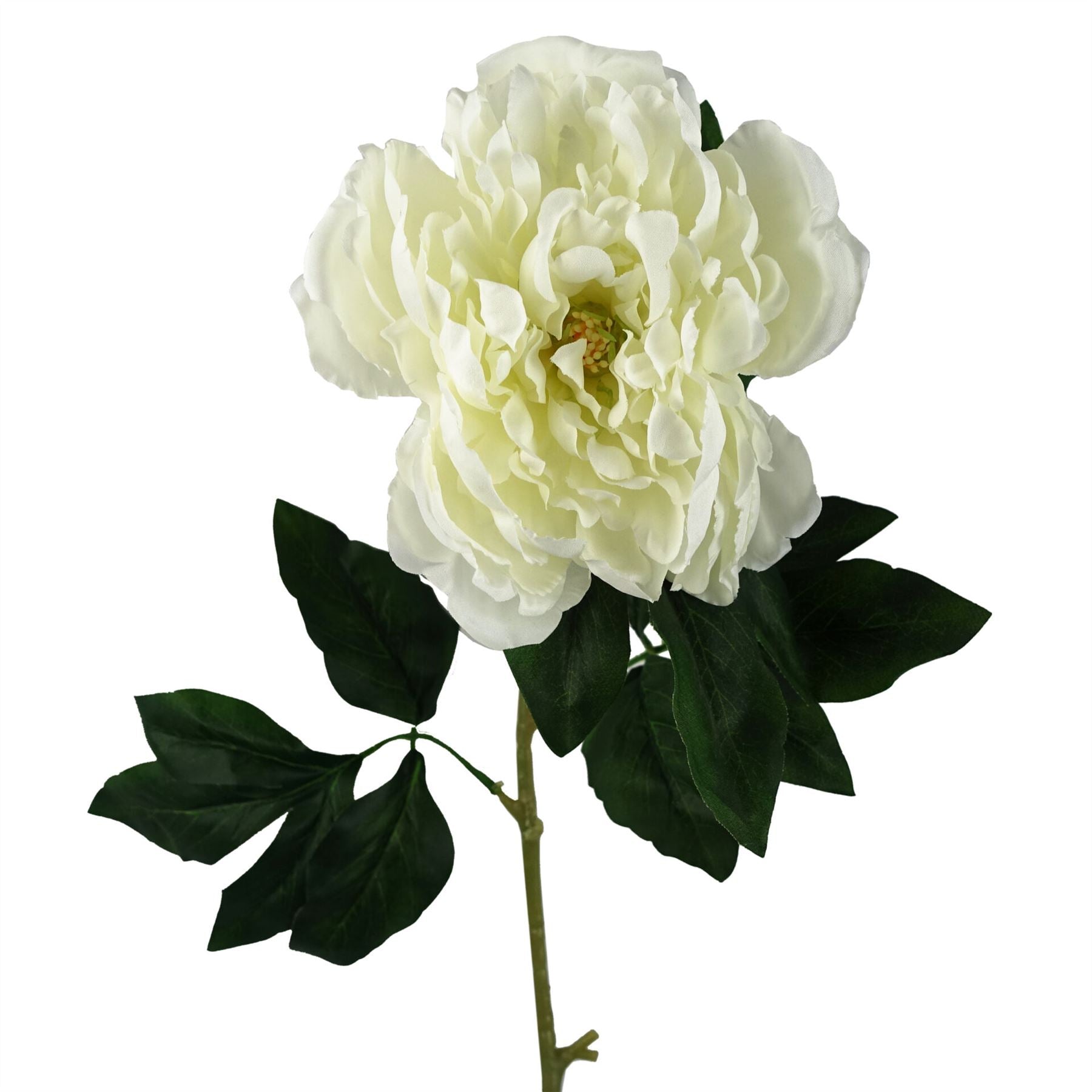 Pack of 6 x 80cm Artificial White Peony Stem-2