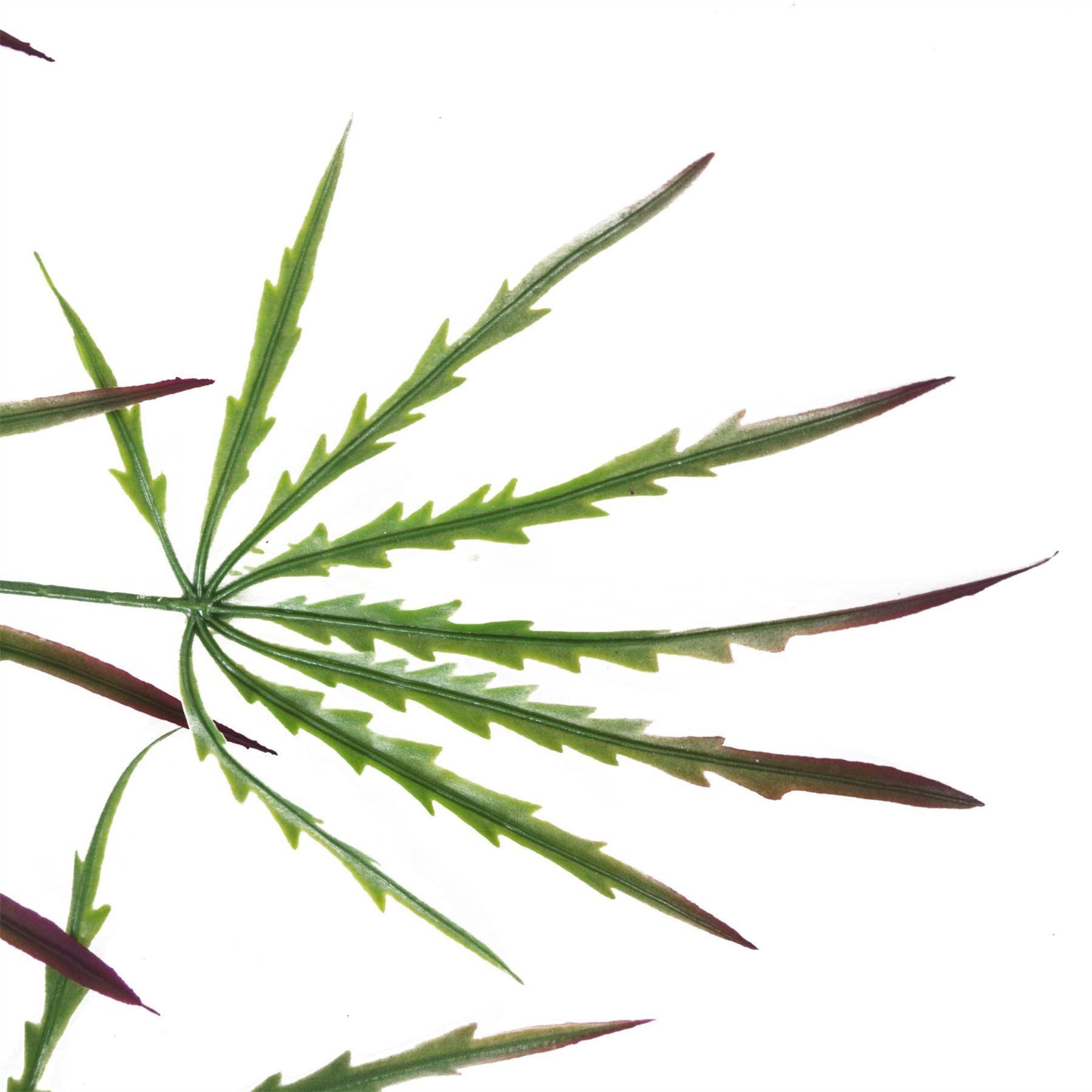 Artificial Foliage Hanging Acer Fern Plant-2
