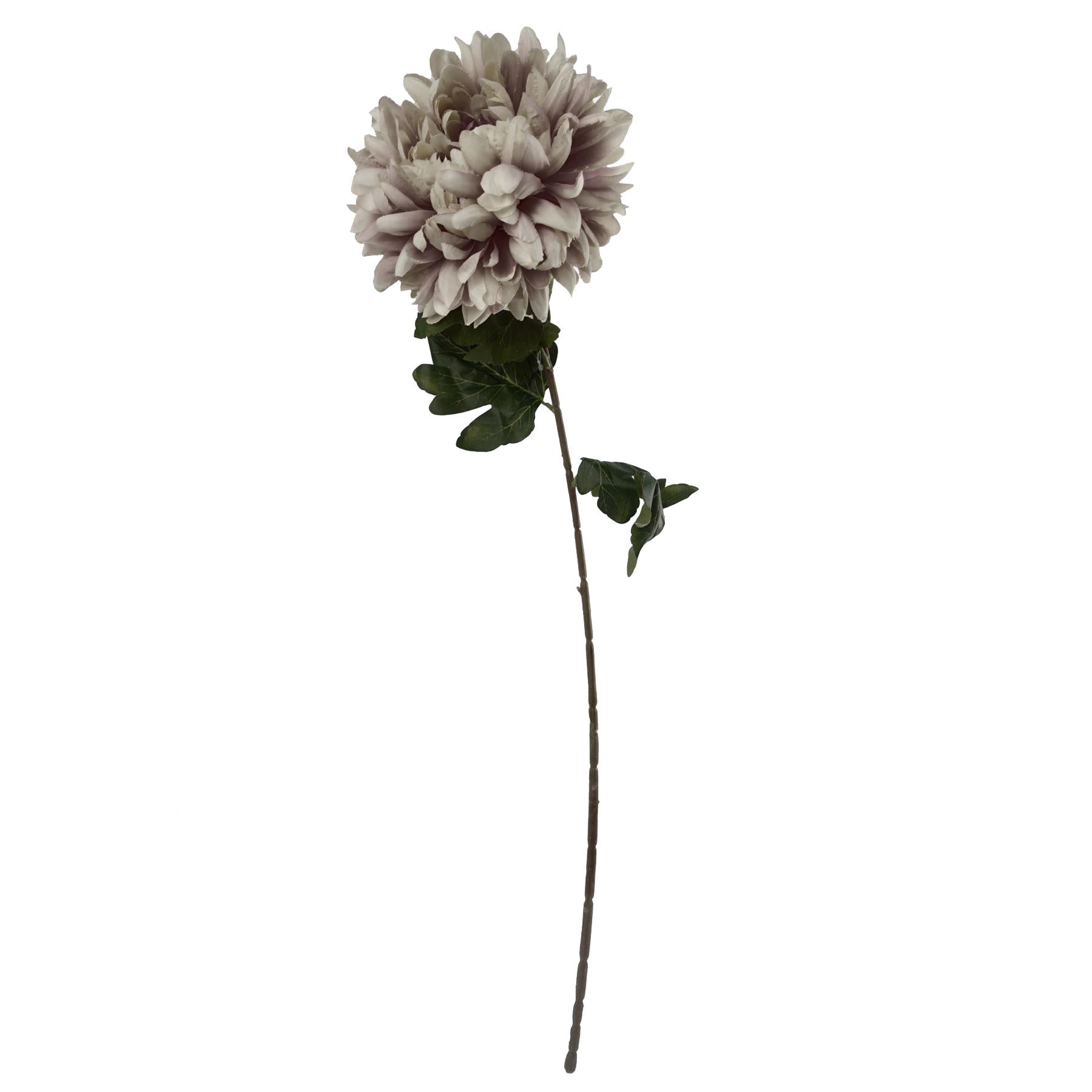 Pack of 6 x 75cm Extra Large Reflex Chrysanthemum - Mushroom-3