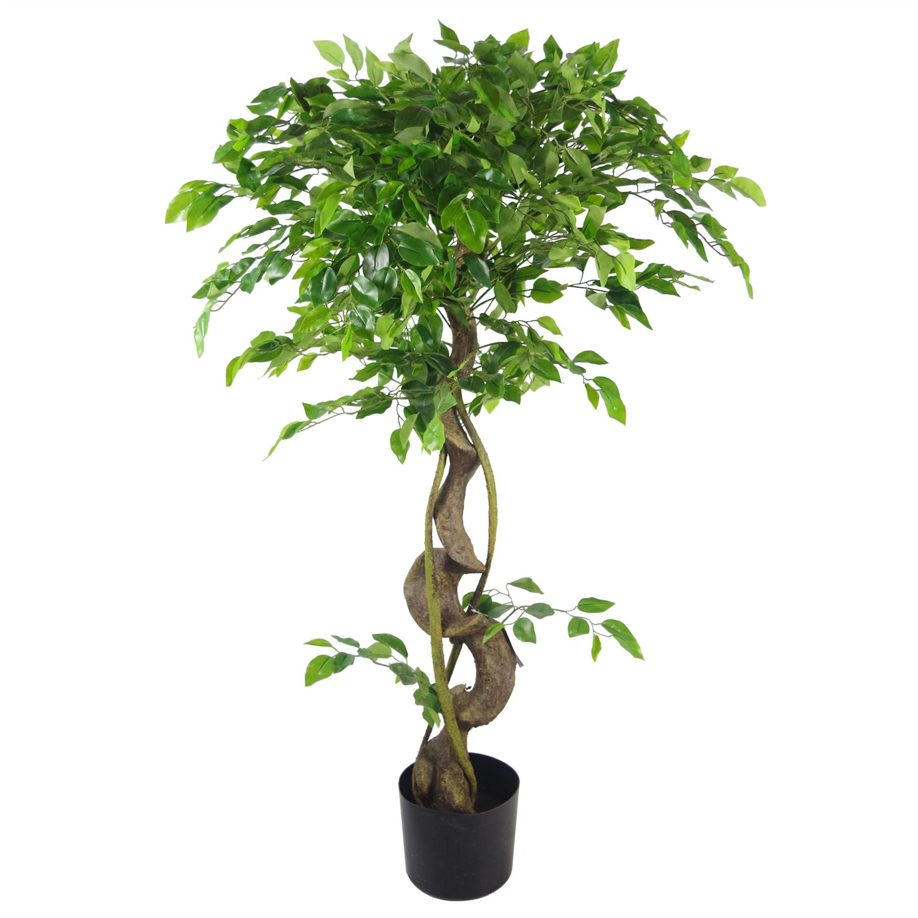 Large Artificial Japanese Fruticosa Ficus Tree Silver 120cm 4ft Realistic Botanik-2