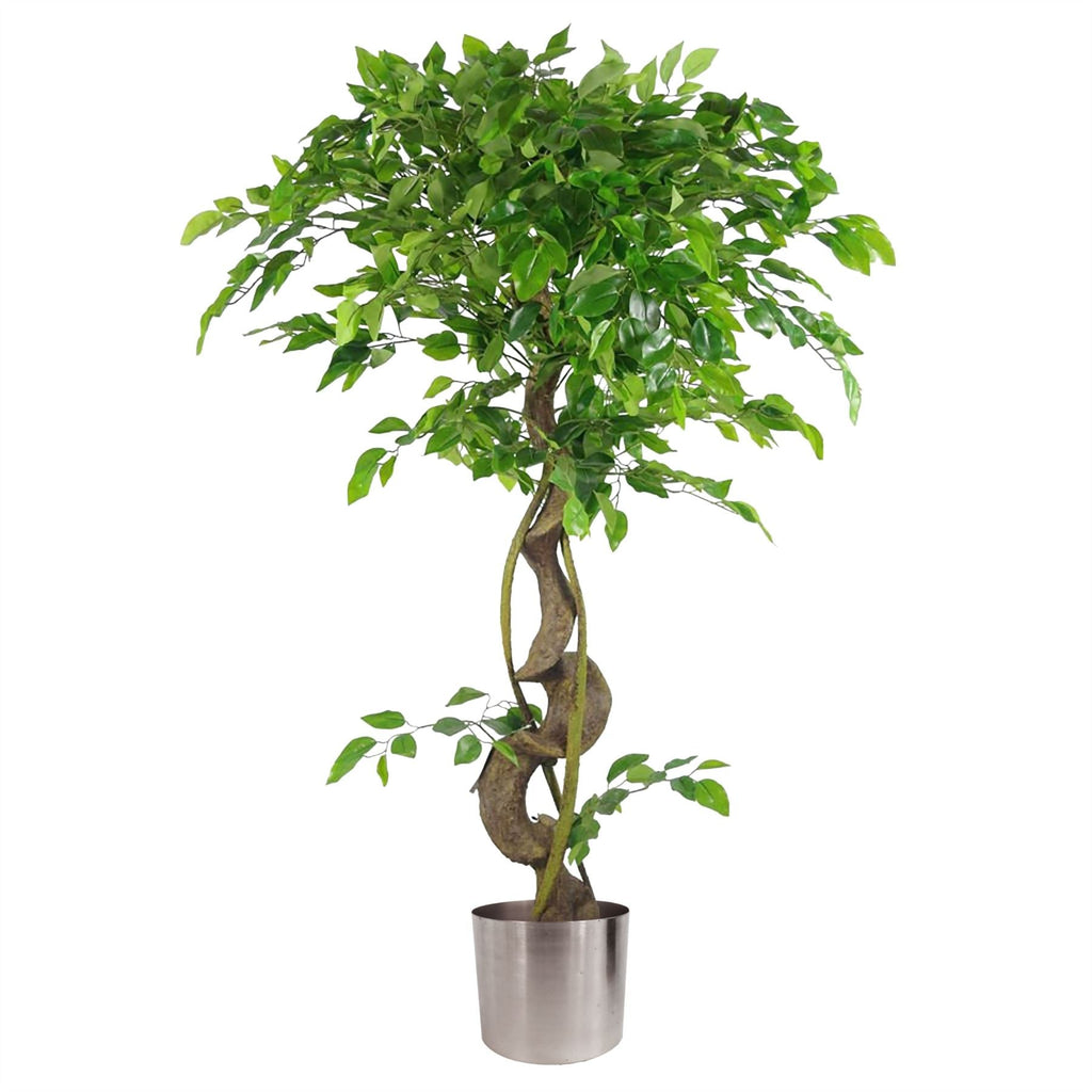 Large Artificial Japanese Fruticosa Ficus Tree Silver 120cm 4ft Realistic Botanik-0