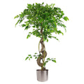 Large Artificial Japanese Fruticosa Ficus Tree Silver 120cm 4ft Realistic Botanik-0