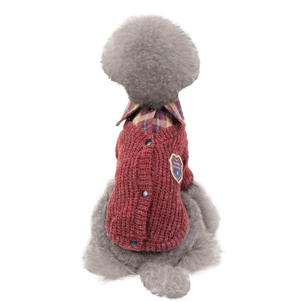 Professor by Doggy Doo Little