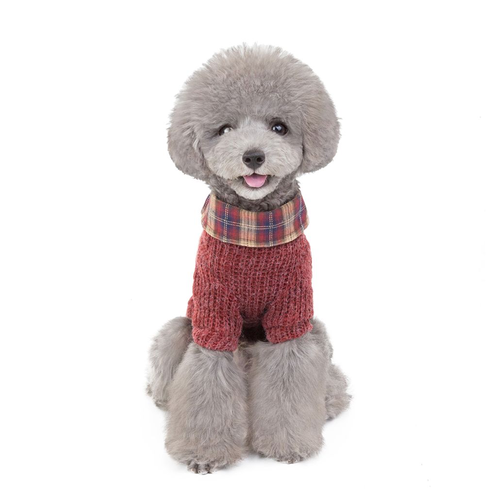 Professor by Doggy Doo Little