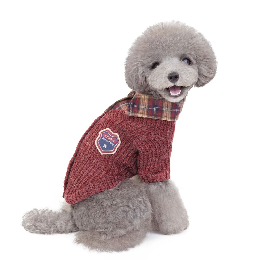 Professor by Doggy Doo Little