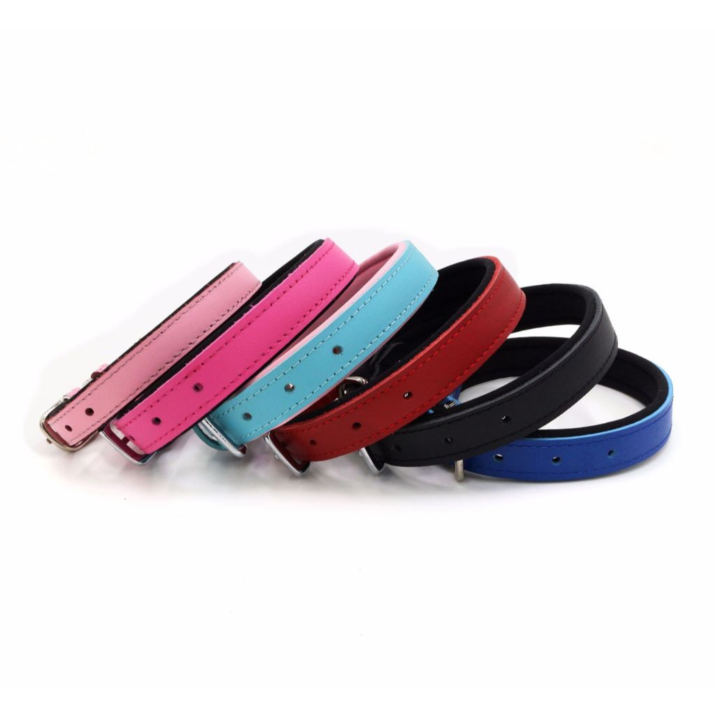 Dark Pink Dog Collar