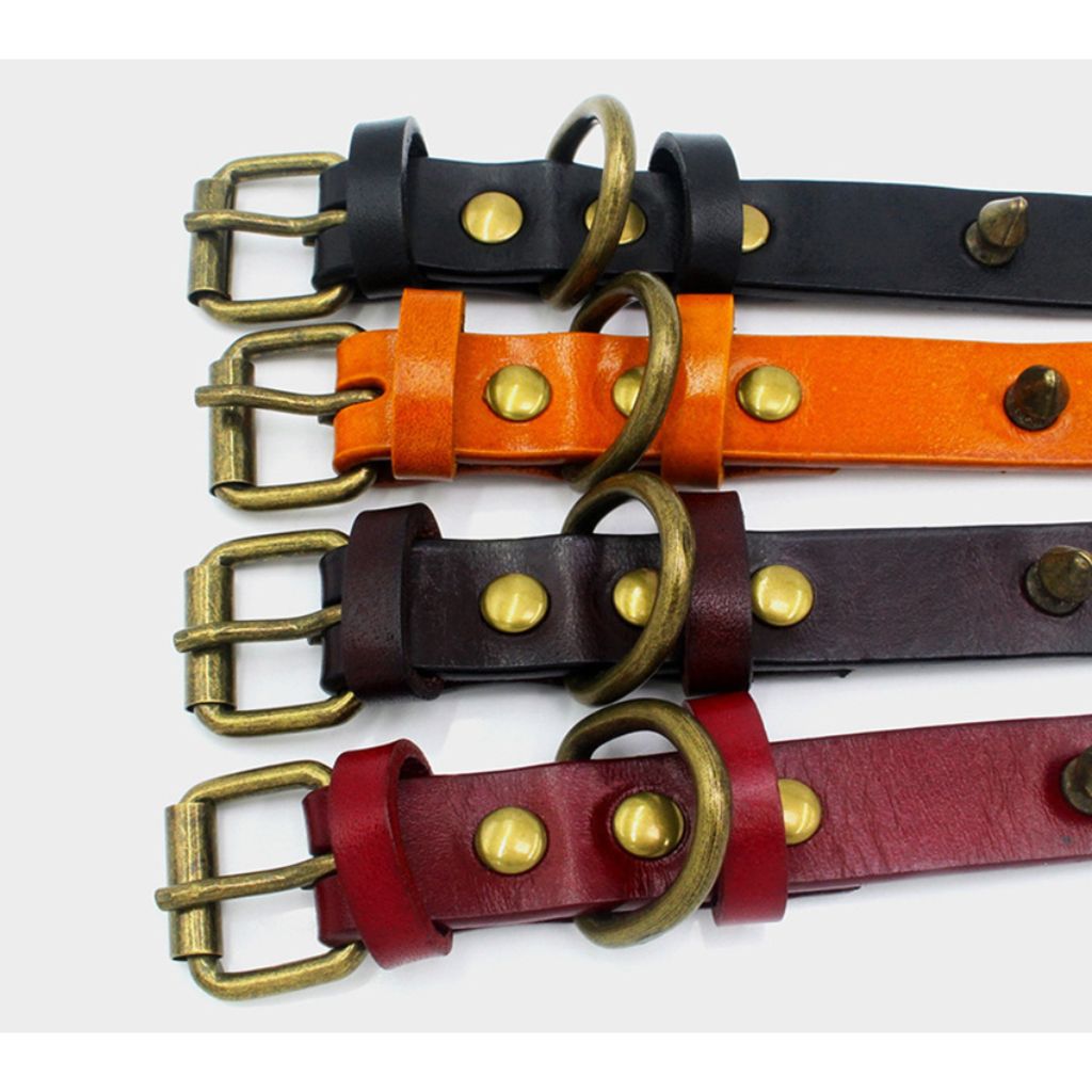 Black Spike Dog Collar - by Doggy Doo Little