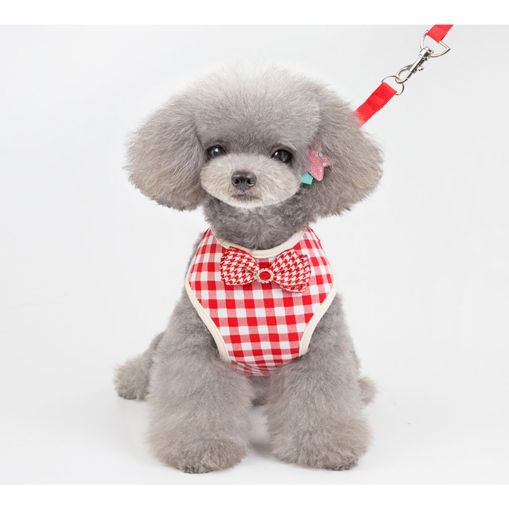Red Bow Dog Harness (With Leash)-0