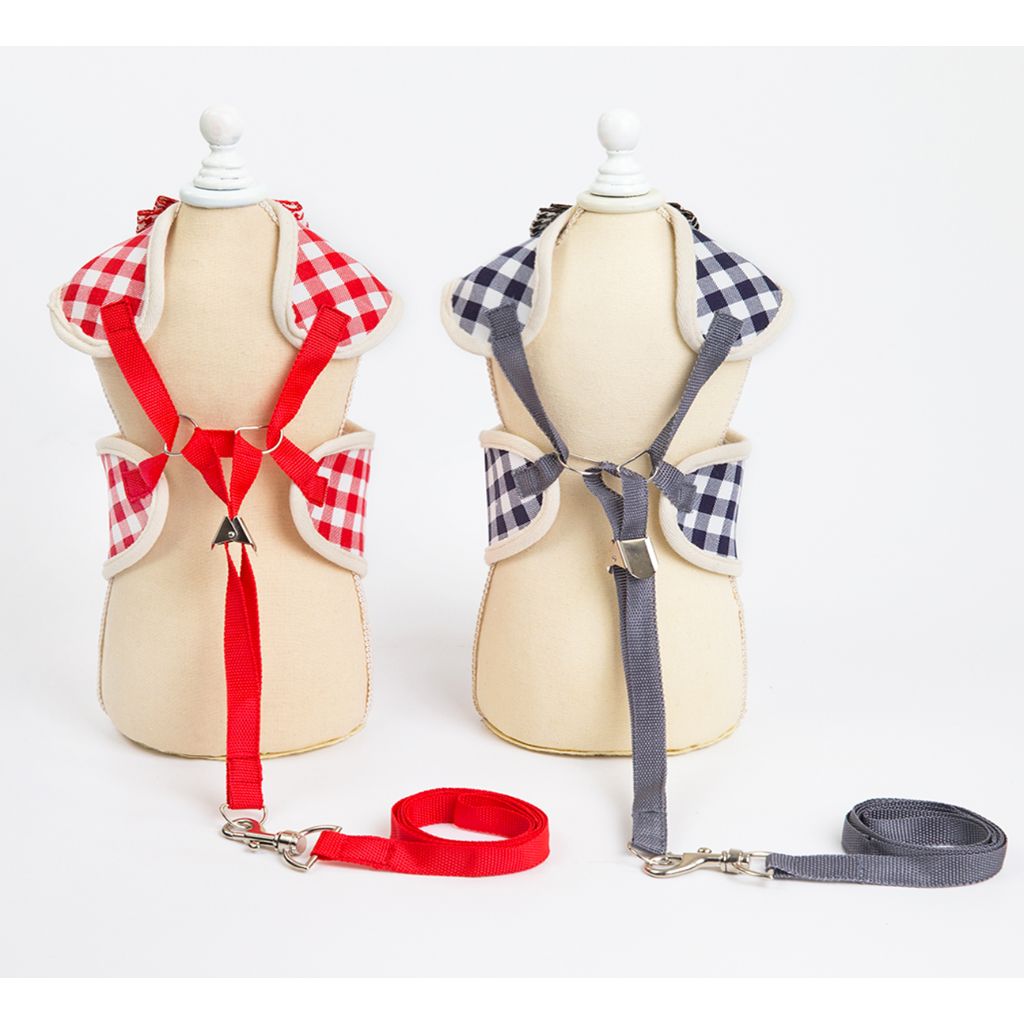 Blue Bow Dog Harness (With Leash)-4