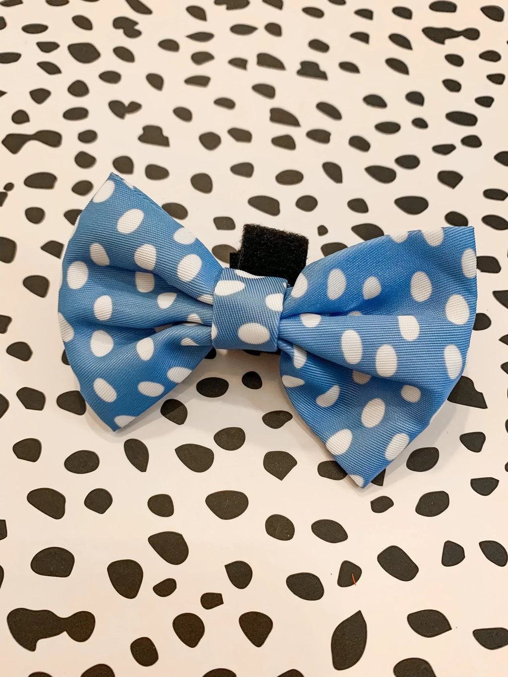 Polka Pups Set (Blue) by iWoofYouBoutique