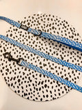 Polka Pups Set (Blue) by iWoofYouBoutique