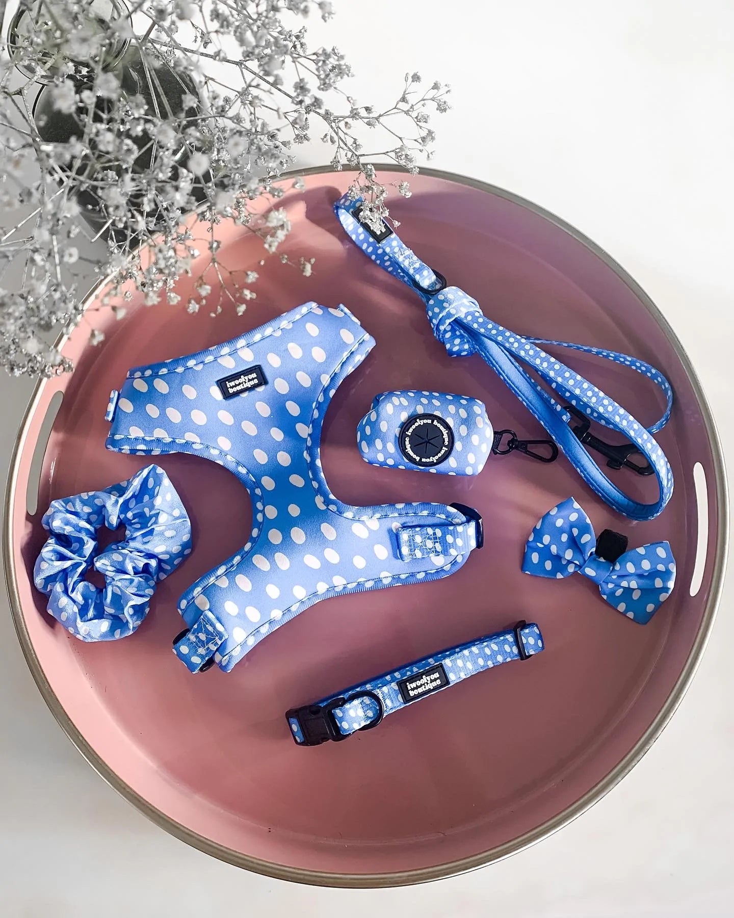 Polka Pups Set (Blue) by iWoofYouBoutique