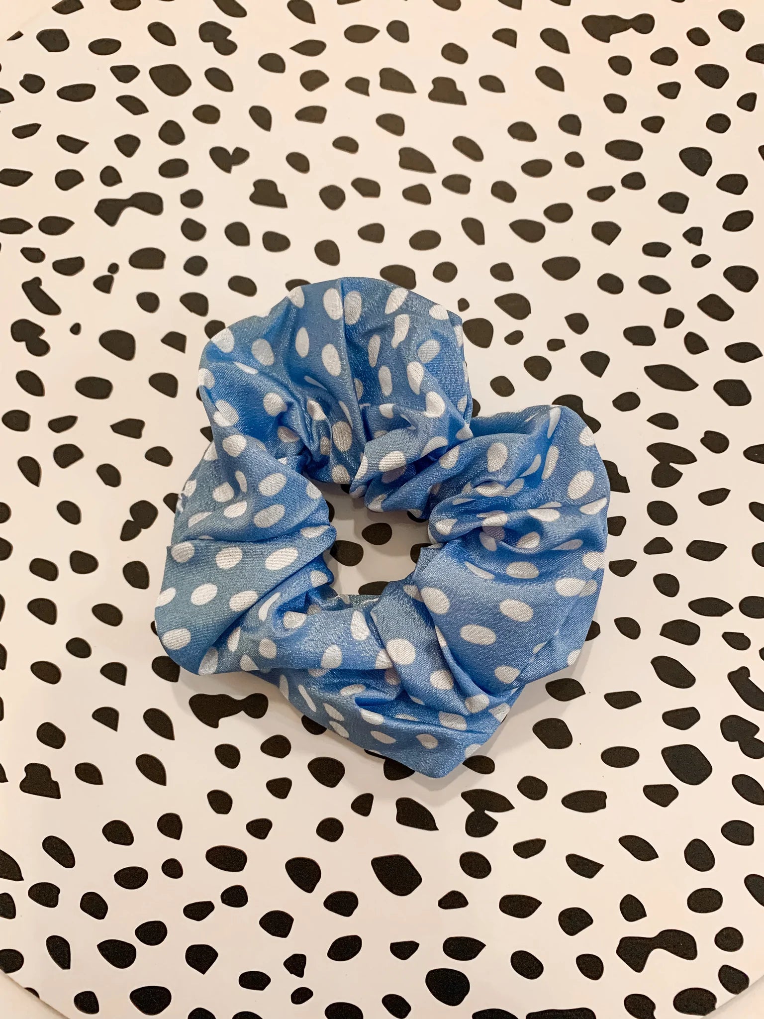 Polka Pups Set (Blue) by iWoofYouBoutique